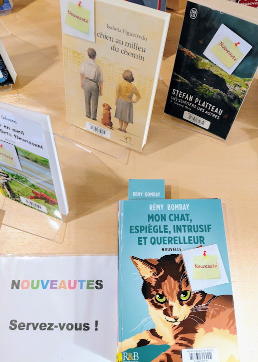 Mon chat, proposé aux lecteurs, de la médiathèque de rieux. Morbihan.
